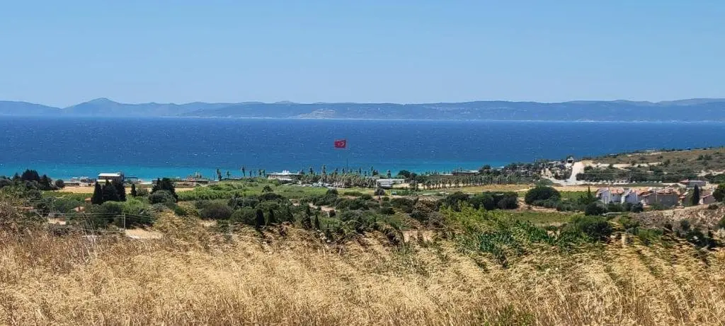Чешме: Zeytiny l Tiny Houses & Farm l Çeşme