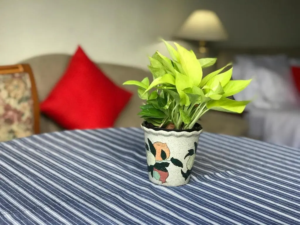 Бангкок: cozy apartment central bangkok 25th floor beautifull balcony