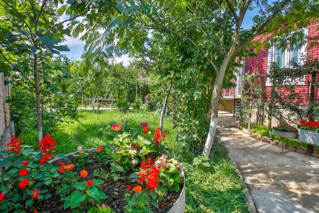 Кутаиси: 85A Bed And Breakfast