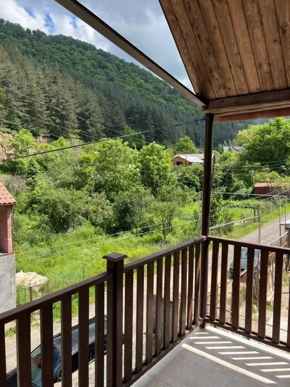 Dilijan Mountain View, 3 Bedroom House — фото 1