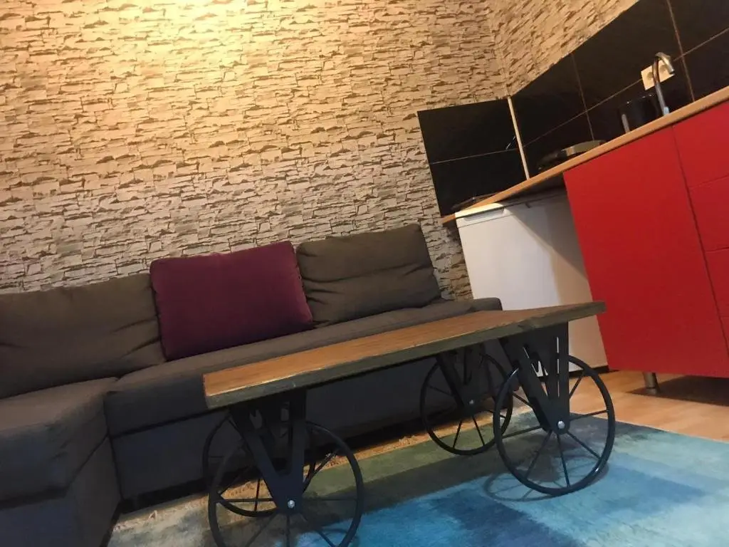 hygienic budget accommodation central 40 50 square meters with garden — фото 1