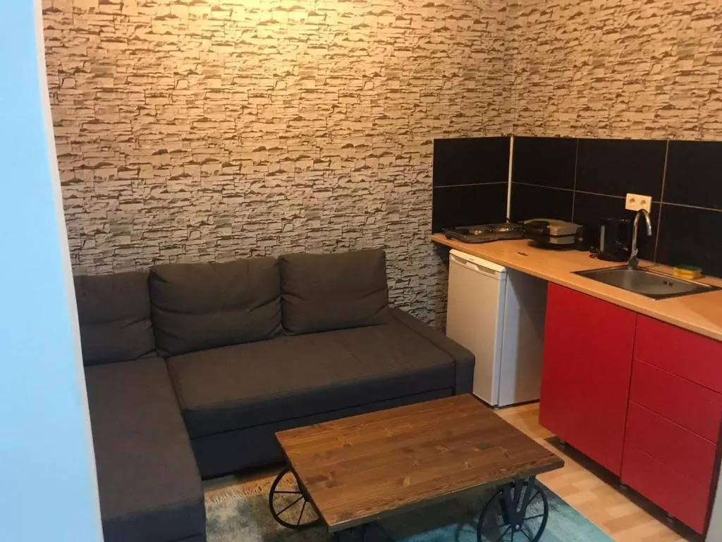 Стамбул: hygienic budget accommodation central 40 50 square meters with garden