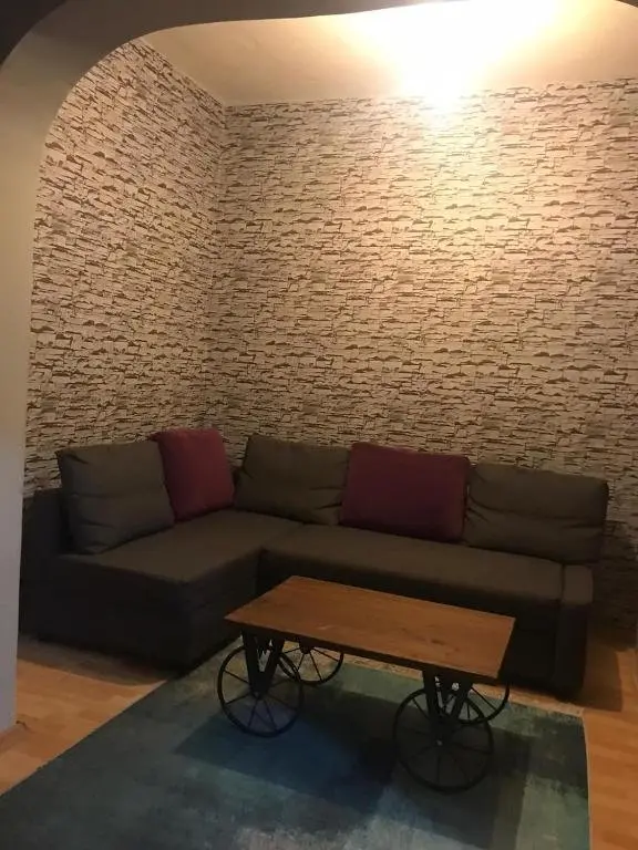 Стамбул: hygienic budget accommodation central 40 50 square meters with garden