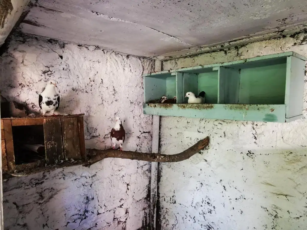 Одзун: Vanadzor guest house