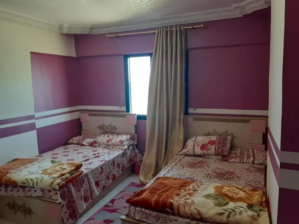 Александрия: Flores Casas de Playa