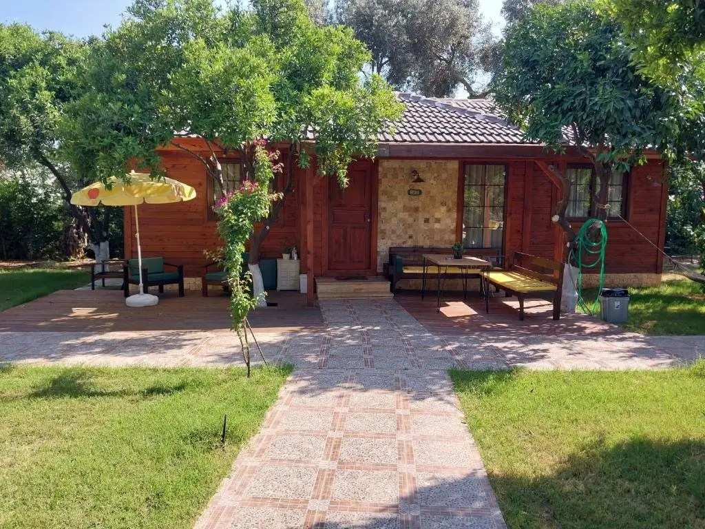 Аланья: Miss Mandarin Bungalow evleri