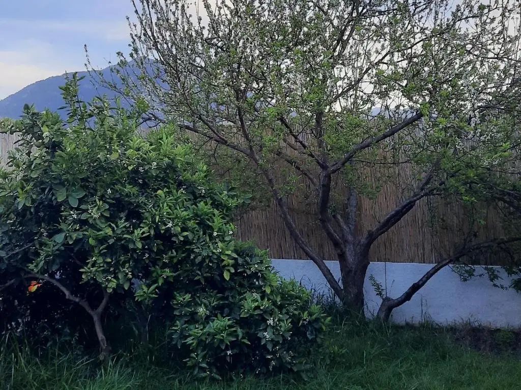 Фетхие: Villa elif