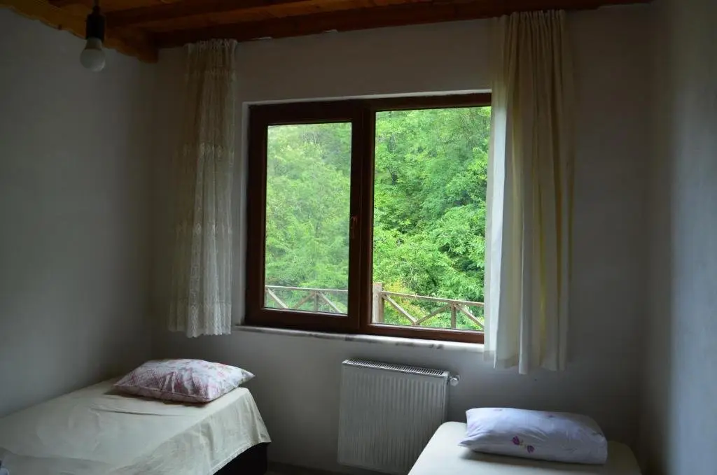 Трабзон: Trabzon green valley villa