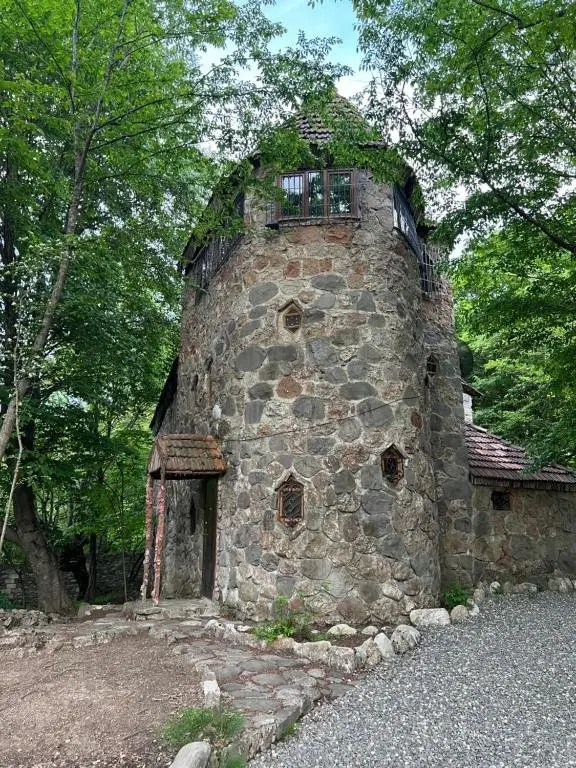 Губа: Qusar Forest