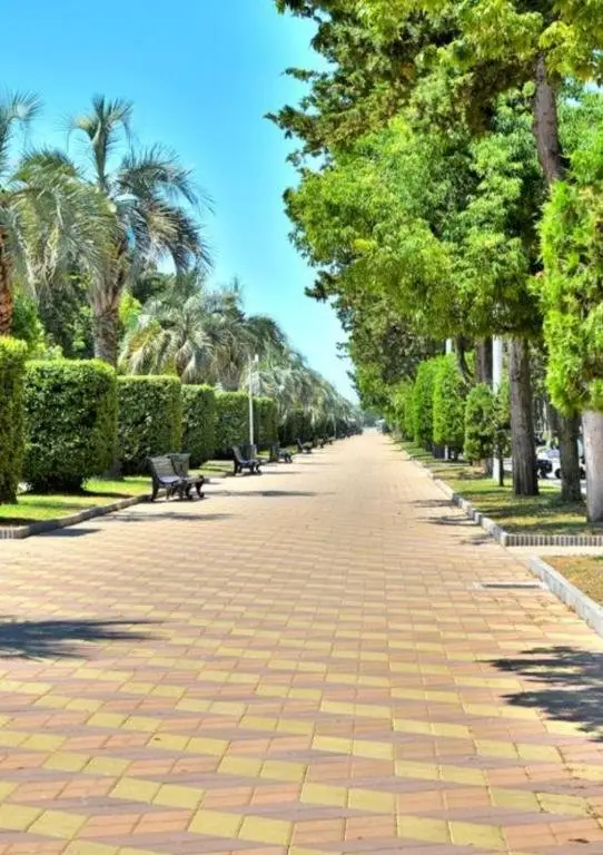 Батуми: Vip Apartament Orbi
