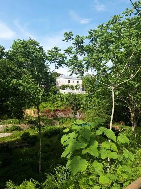 Батуми: nodiko house