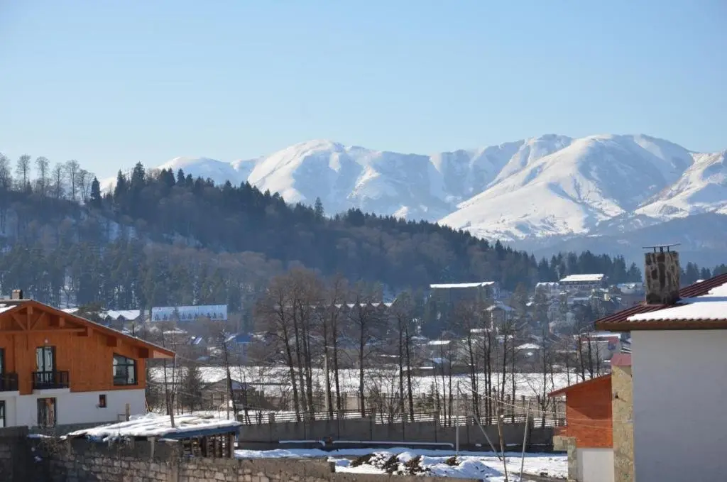 Бакуриани: DANSI apartment in Bakuriani