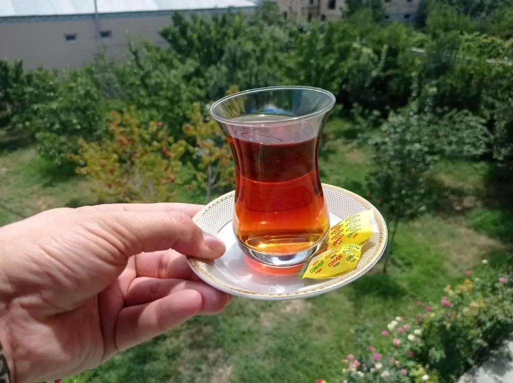 Нафталан: Bizim Ev hostel