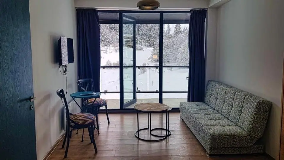 Бакуриани: Bakuriani Apartment in Mgzavrebi
