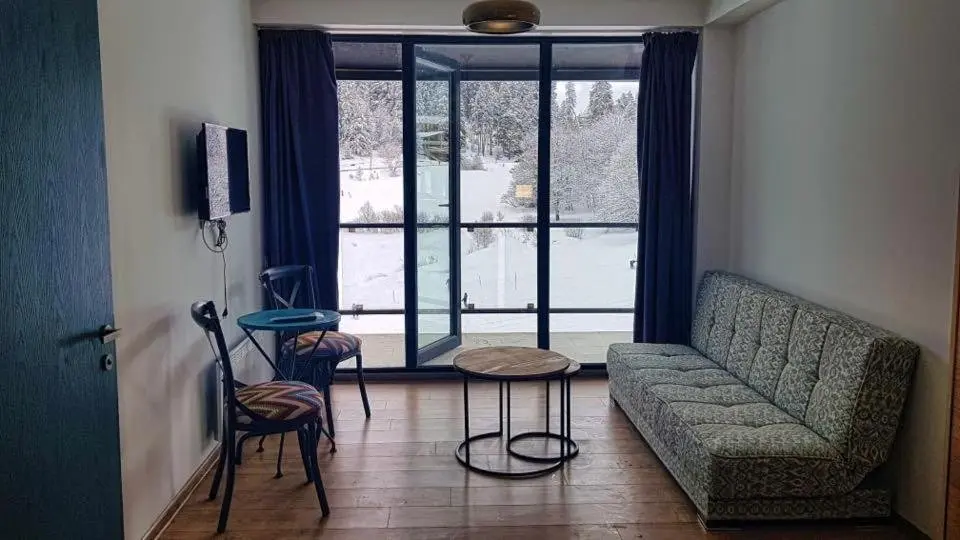 Бакуриани: Bakuriani Apartment in Mgzavrebi