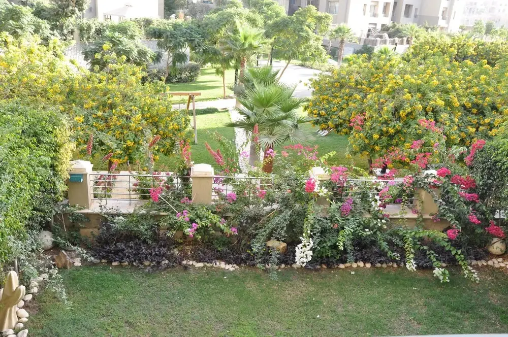 Каир: Axxodia porto new cairo residence