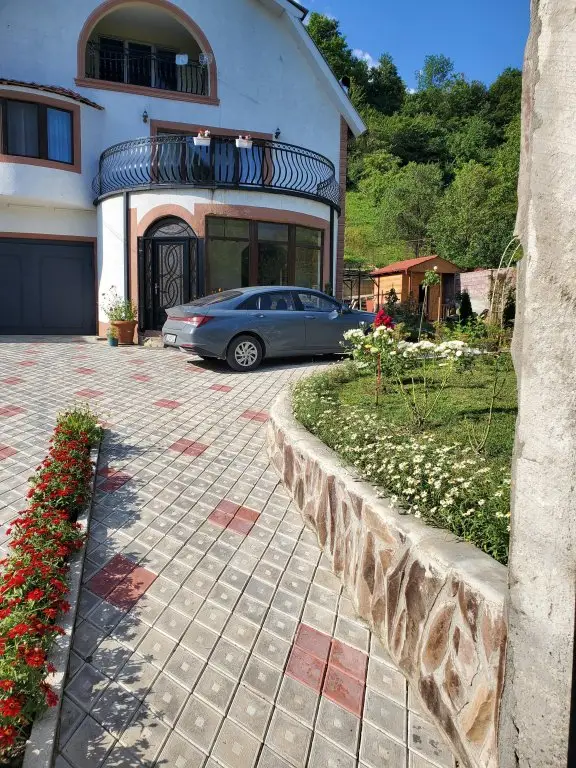 Боржоми: Гостевой дом Диоскурия Боржоми