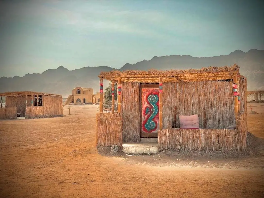 Нувейба: Lala Land Camp Sinai