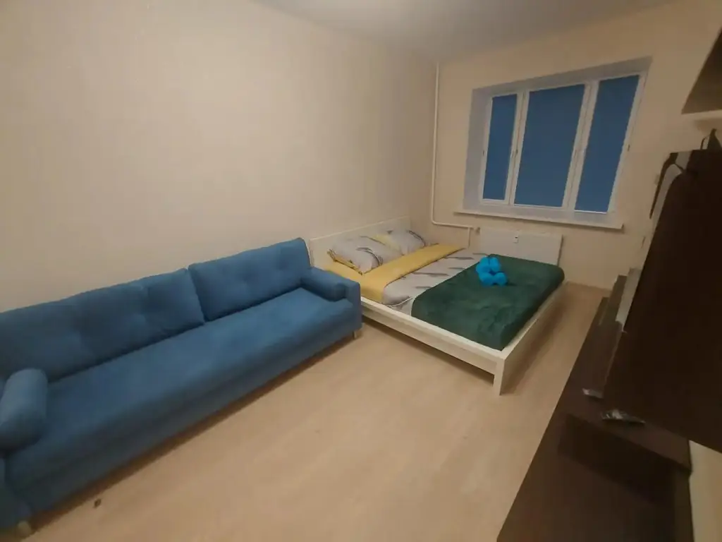 Люберцы: Ozernaya 9/6 Apartments