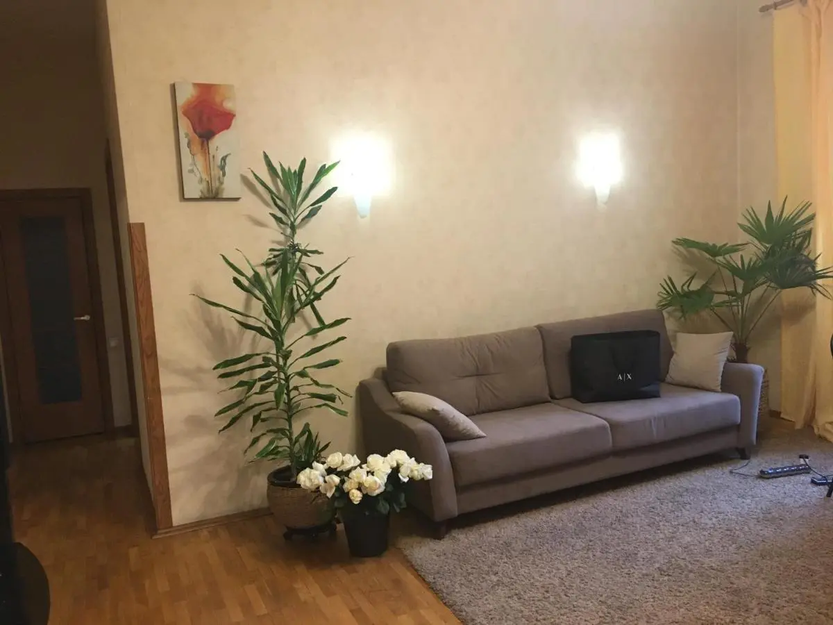 Воронеж: Apartments on Vladimirsky prospekt, 7