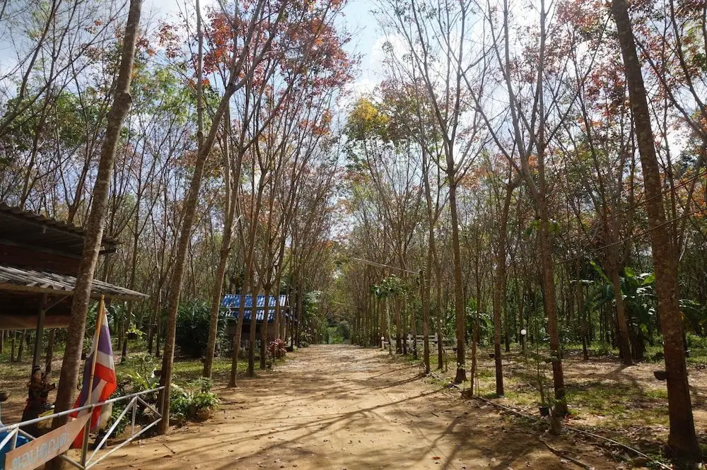 Тай-Муанг: Kittiya Homestay
