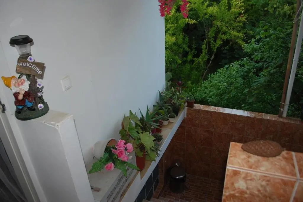 Сухум: Guesthouse U Nataliy