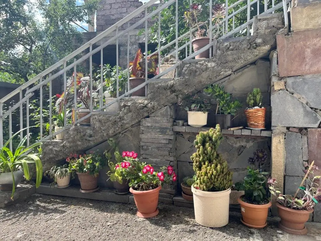 Дзорагет: Inexpensive B&B