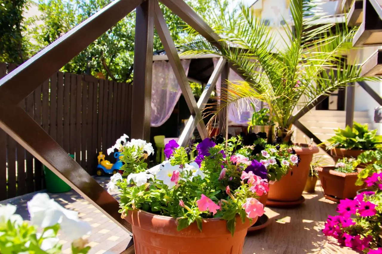 Кабардинка: Guest house Alpina
