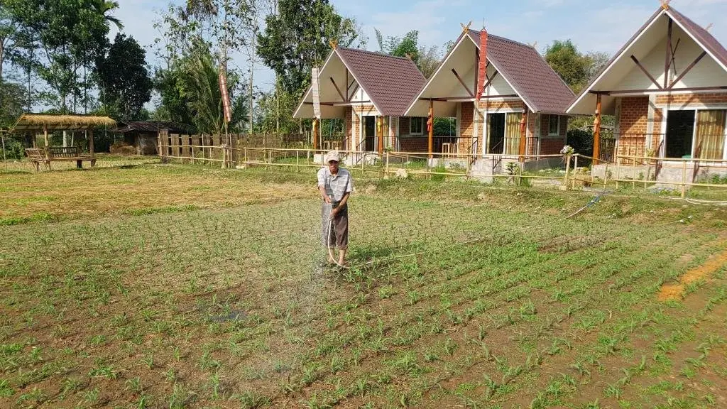 Пуа: ฮ้างนาตาจันทร์