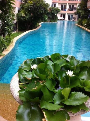 Паттайя: Lovely Condo