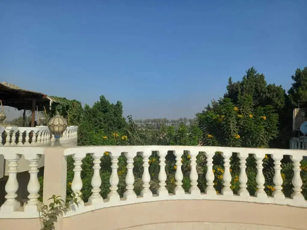 Гиза: Seror Guest House