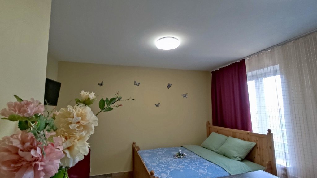 Гатчина: Queit Hause (Квайт Хаус) на улице на Чехова 43