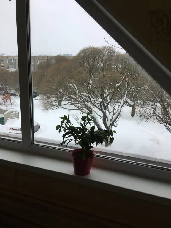 Удомля: Апартаменты ЛОФТ