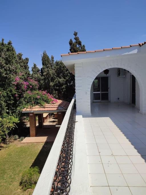 Александрия: Lovely spacious five bedroom villa with a pool