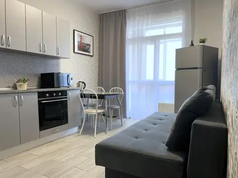 Квартира Однокомнатная 45 м² 7/9 Этаж — фото 1