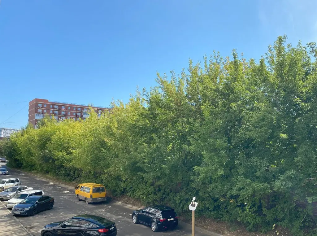 Иркутск: Квартира Студия 38 м² 2/9 Этаж