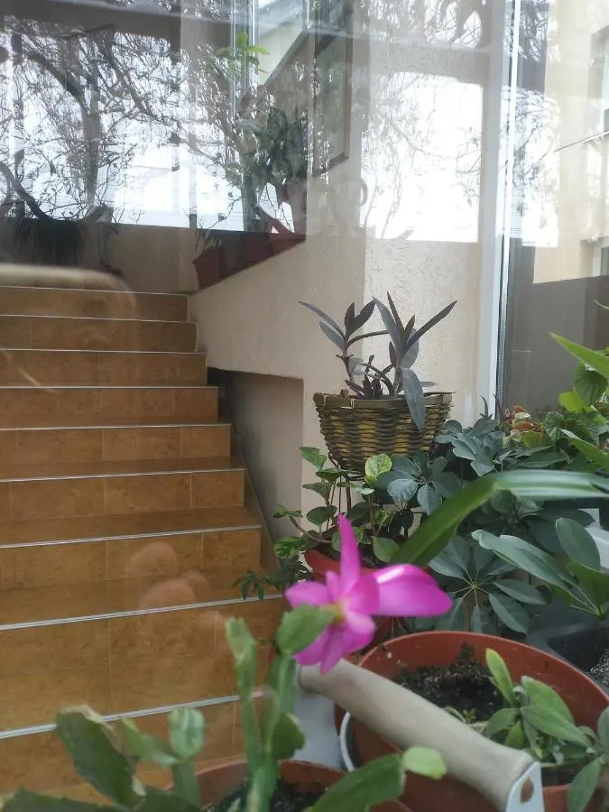 Витязево: Guest House Lukomorye