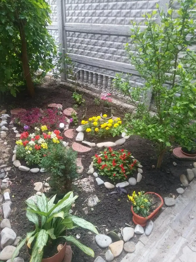 Витязево: Guest House Lukomorye