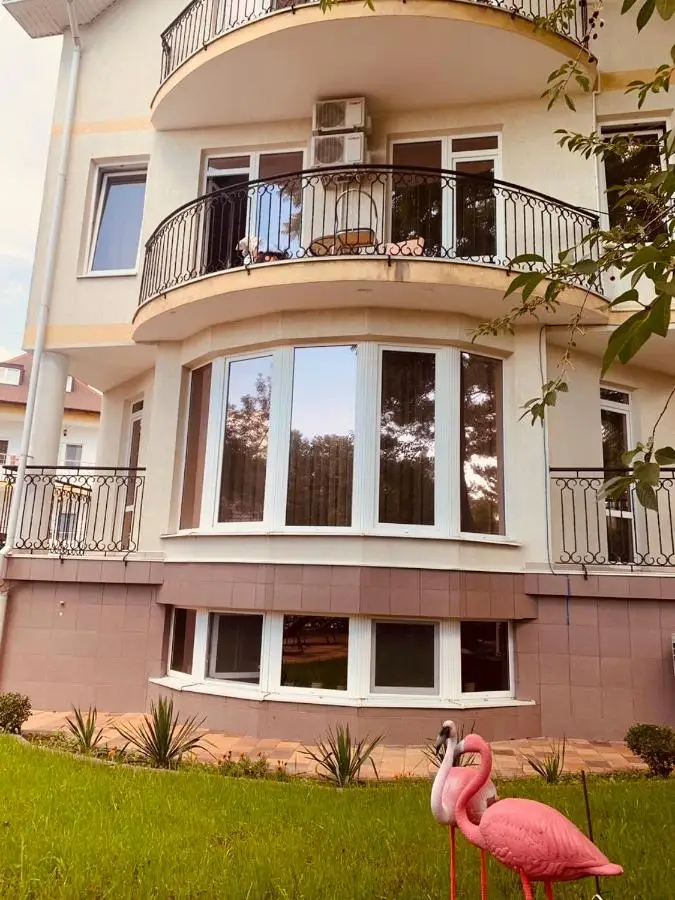 Геленджик: Flamingo Plus Guesthouse