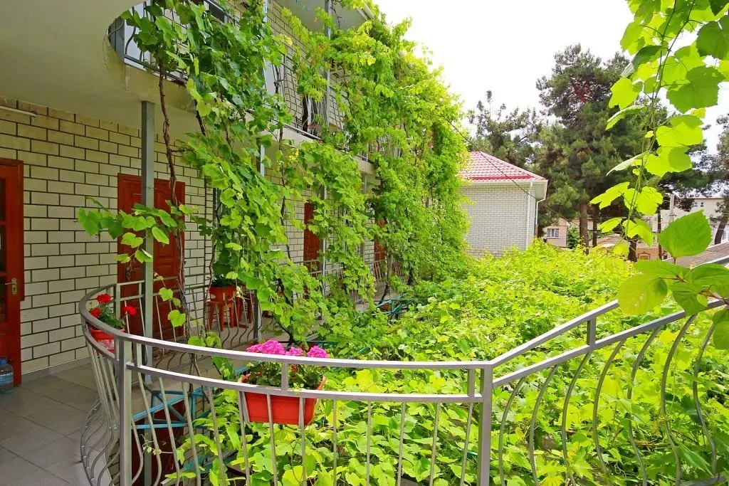 Анапа: Talevito Guest House