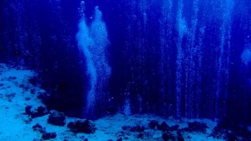 Дахаб: Deep Blue Divers Hostel Dahab