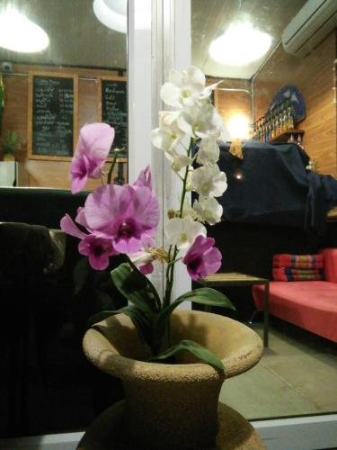 Патталунг: Green Happy Homestay