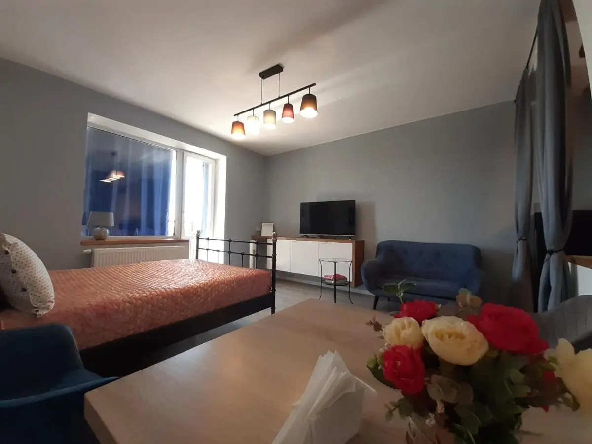 Санкт-Петербург: AeroView studio apartment