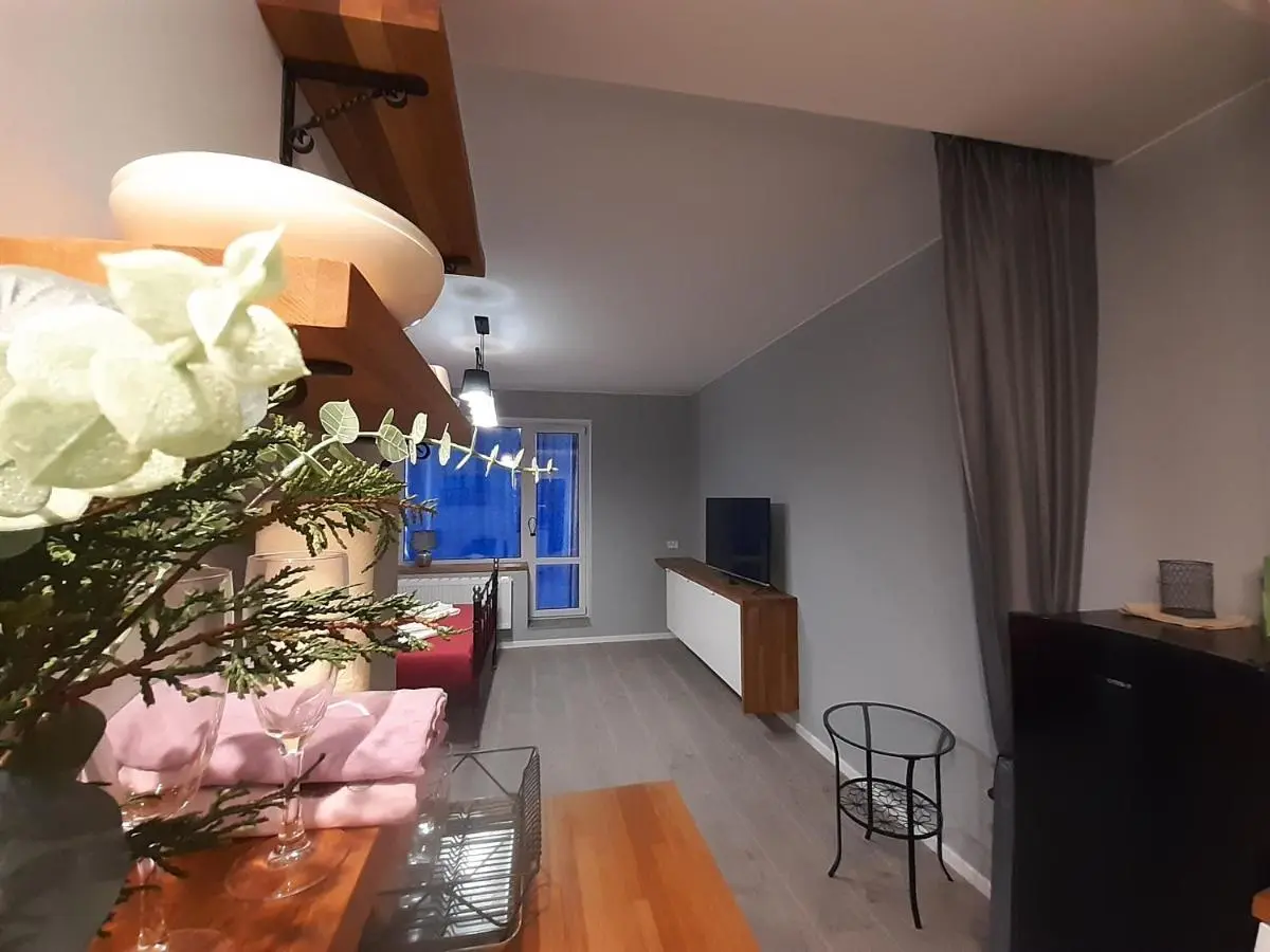 Санкт-Петербург: AeroView studio apartment
