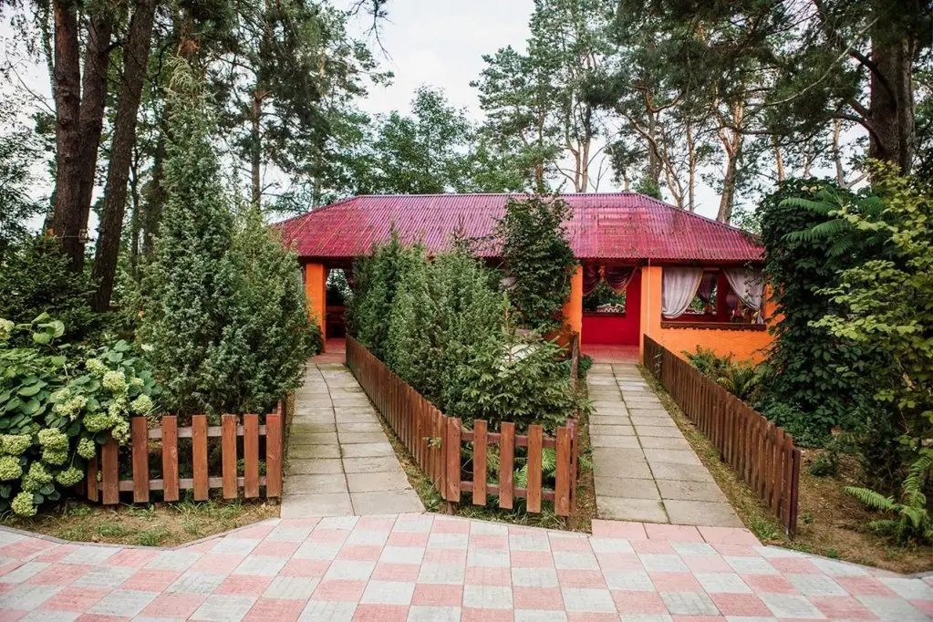 Берёза: У Листочка