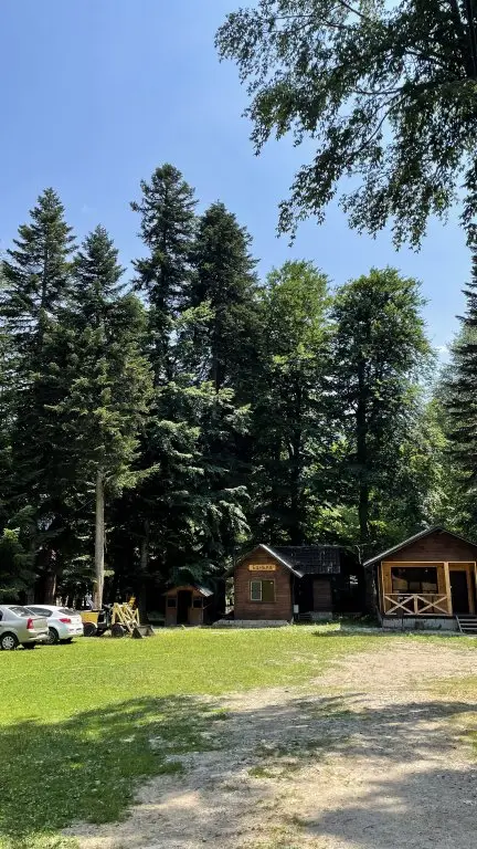 Архыз: База отдыха Forest Yard