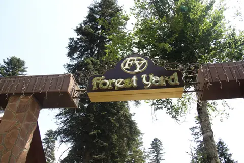 База отдыха Forest Yard — фото 1