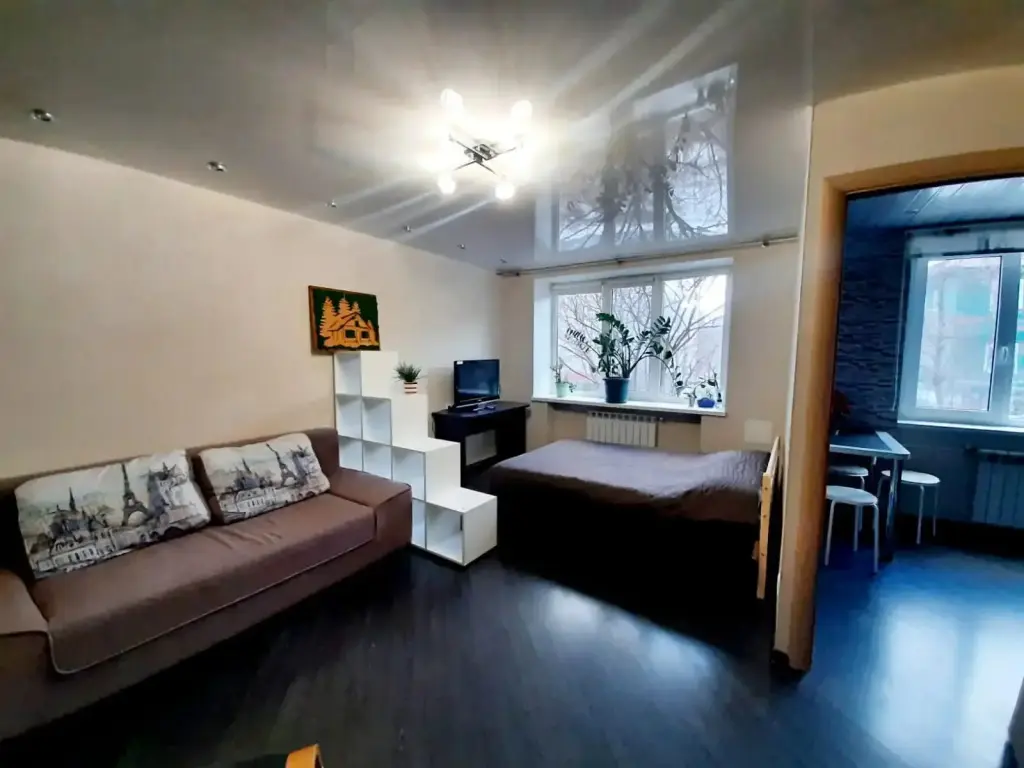 Петрозаводск: Квартира 1к Olivinn на Горького