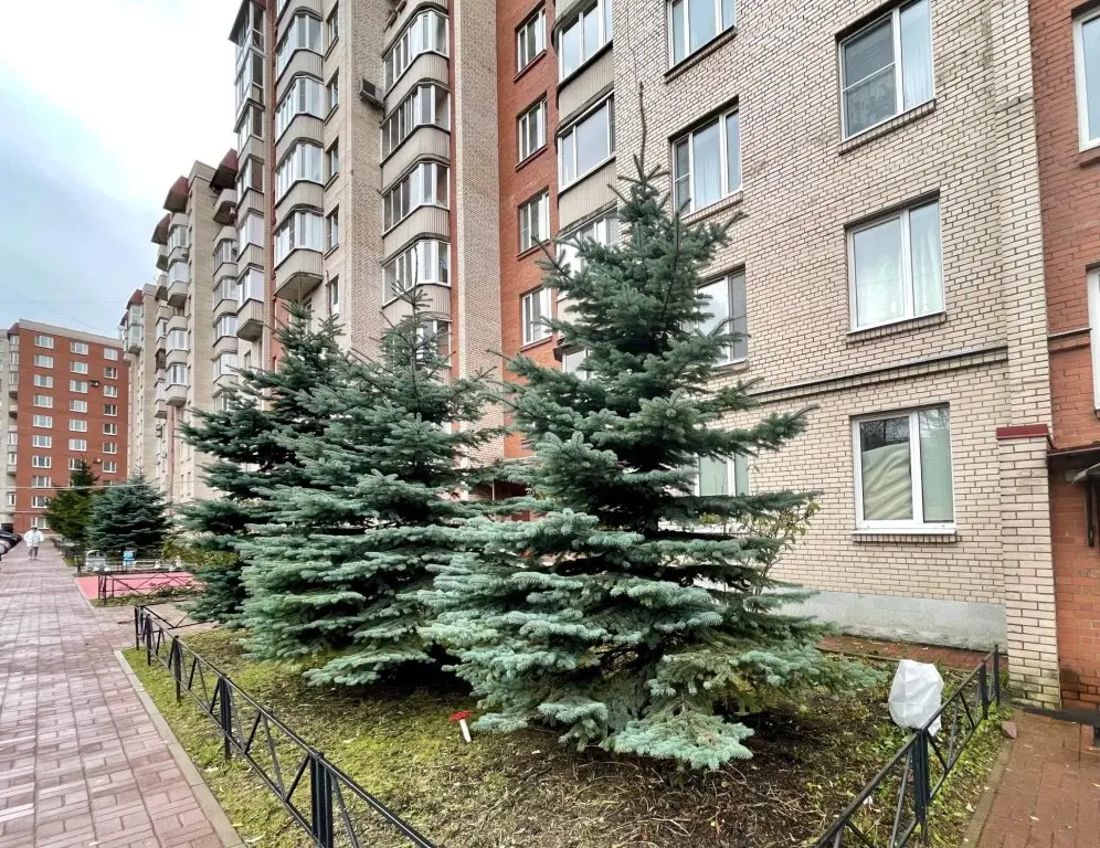 Санкт-Петербург: Квартира АКвадрат на улице Веденеева 8 корпус 1
