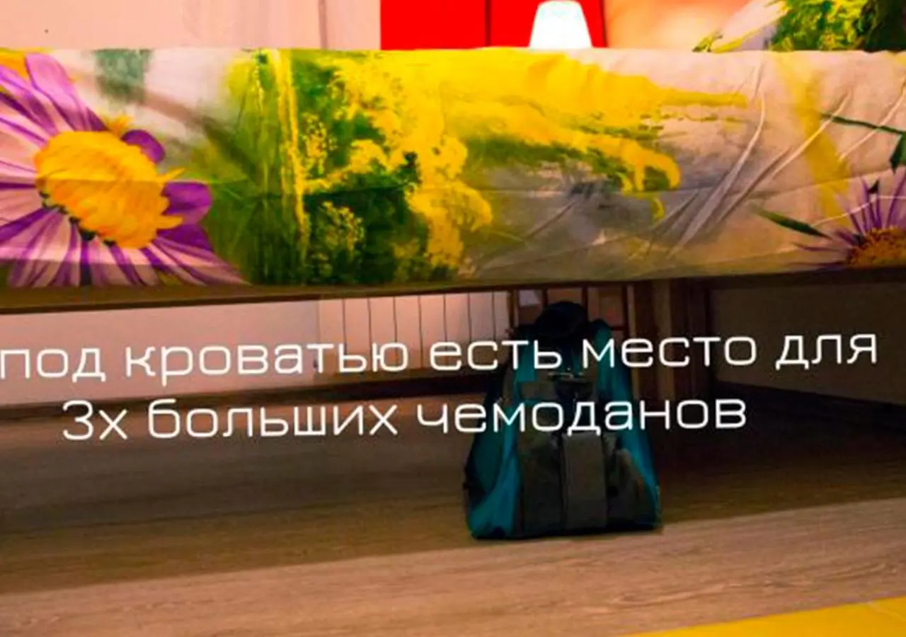 Санкт-Петербург: Апартаменты Camelia Zhukovskogo 6